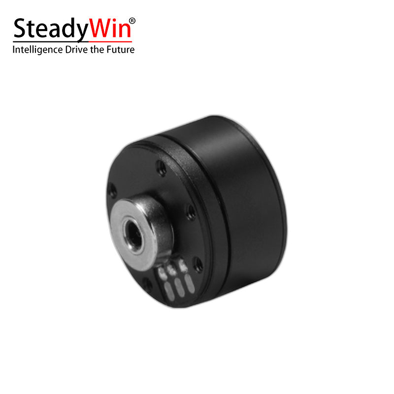 SteadyWin GB1806 Motor