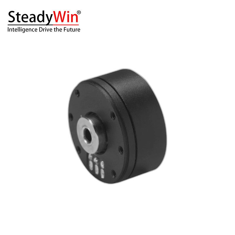 SteadyWin GB2205 Motor