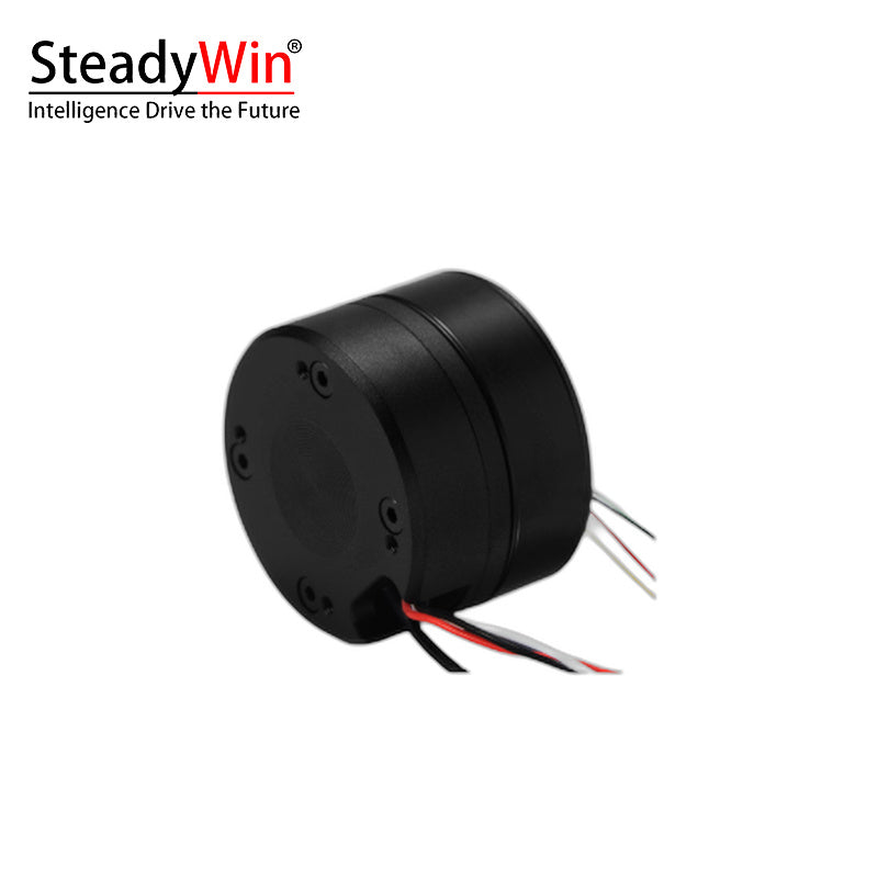 SteadyWin GB2806 Motor