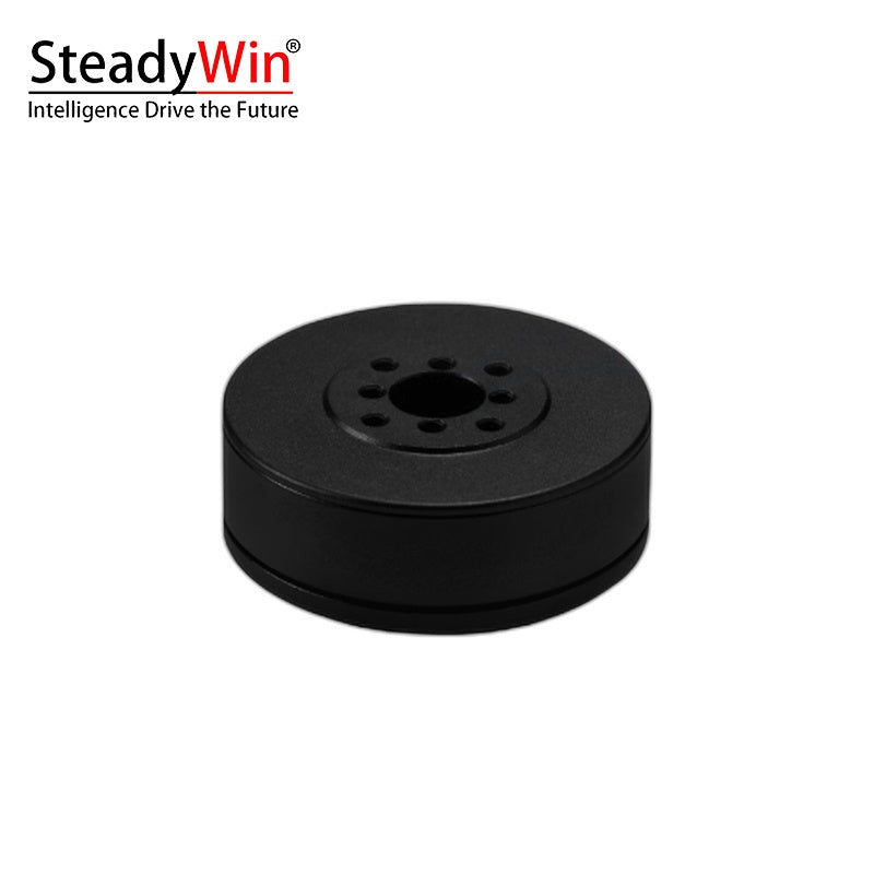 SteadyWin GB3506 Motor