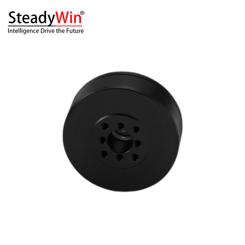 SteadyWin GB3506 Motor