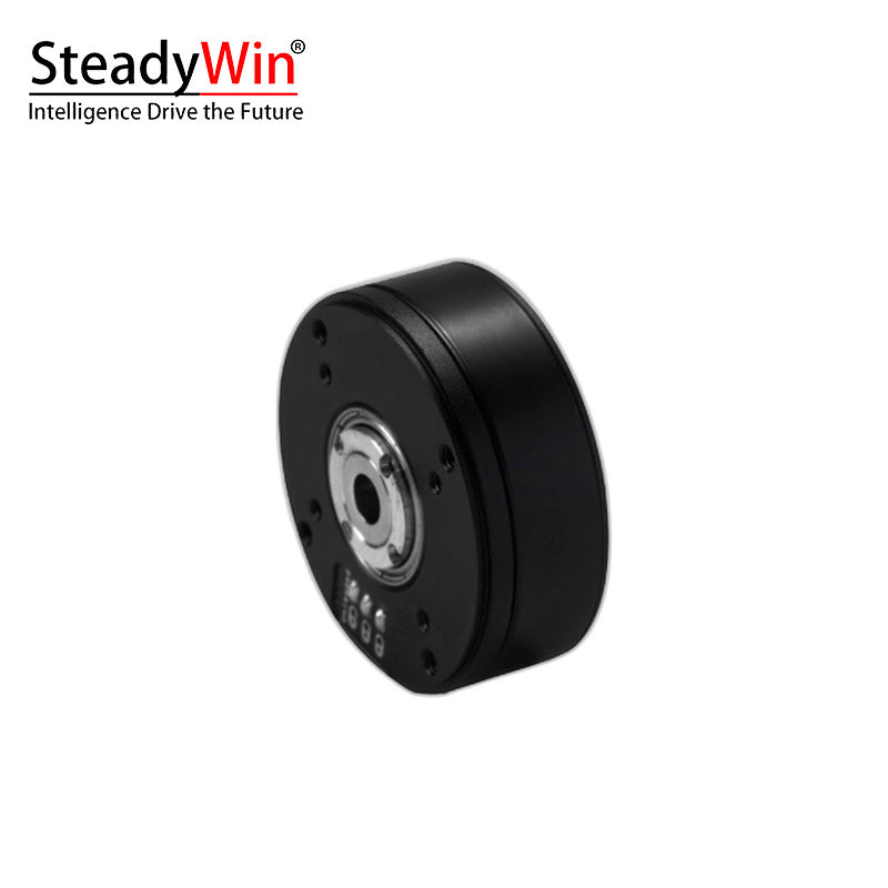 SteadyWin GB3506 Motor