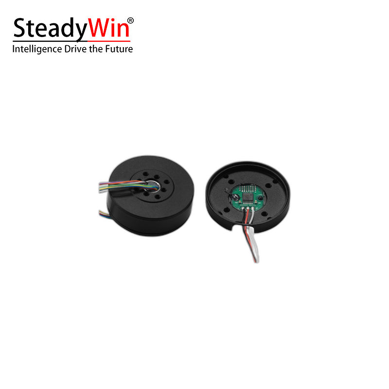 SteadyWin GB3506 Motor