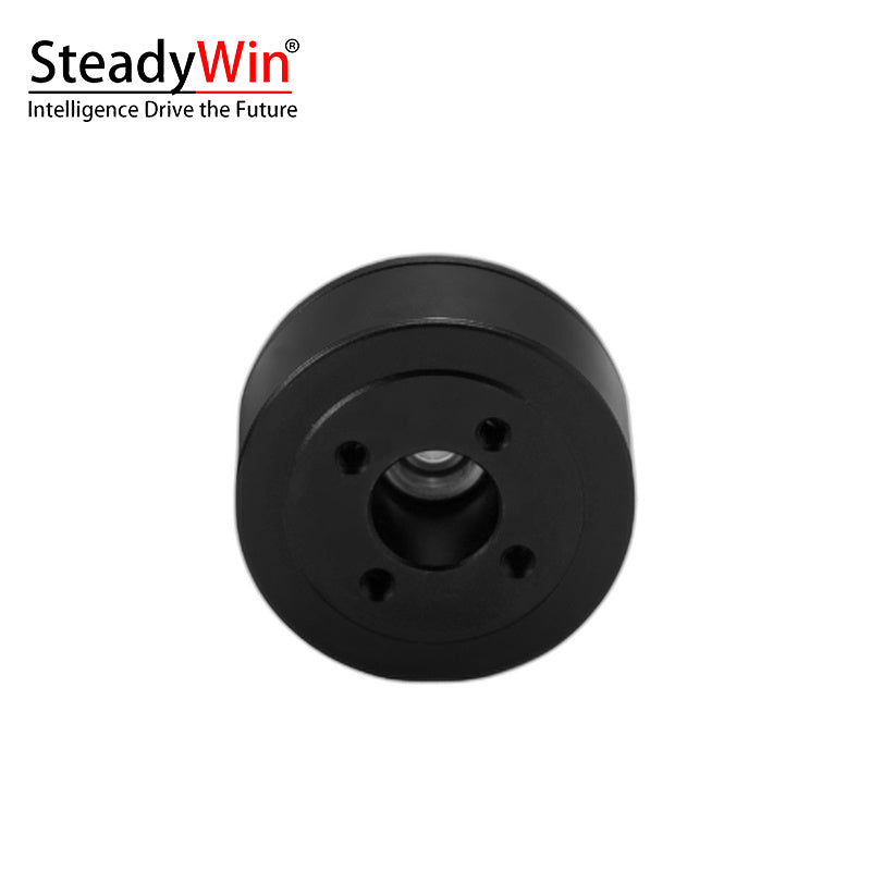 SteadyWin GB3510 Motor
