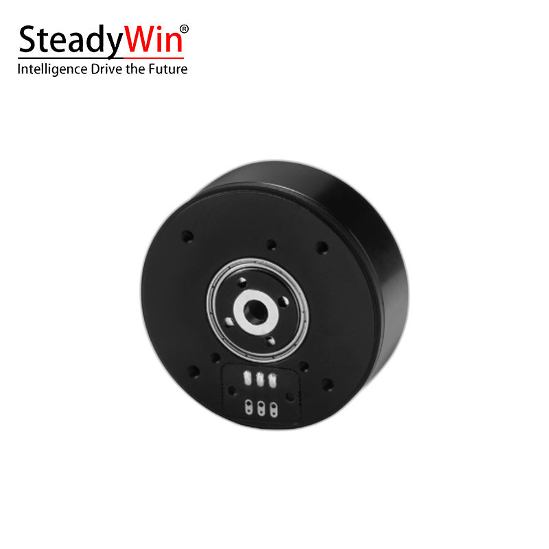 SteadyWin GB4310 Motor