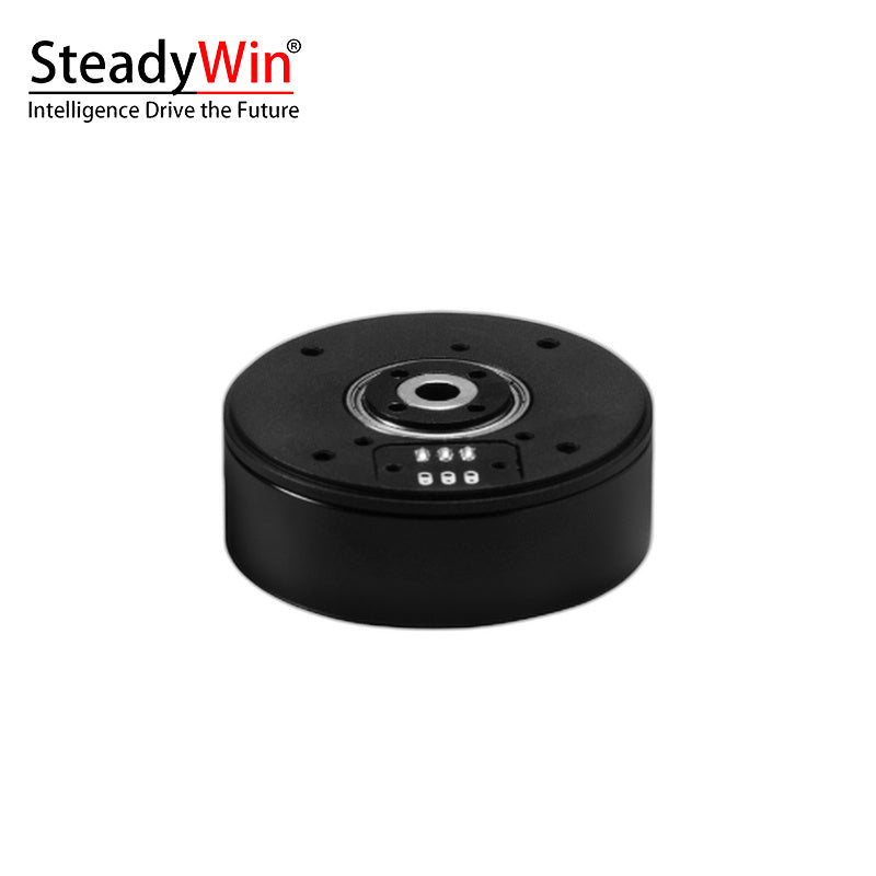 SteadyWin GB4310 Motor