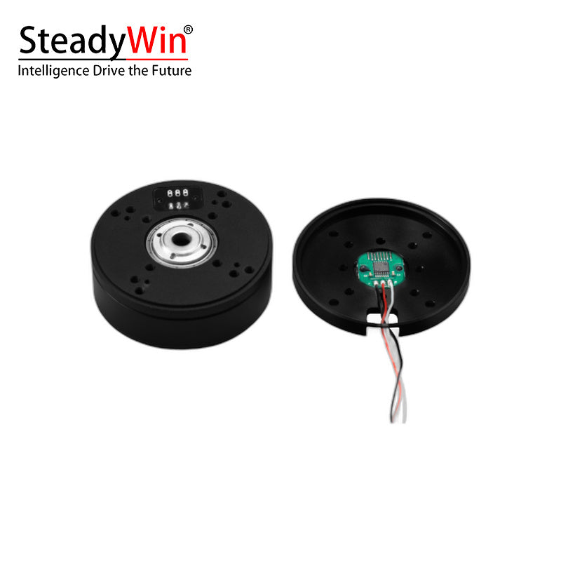 SteadyWin GB5210 Motor