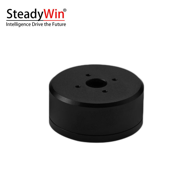 SteadyWin GB5215 Motor