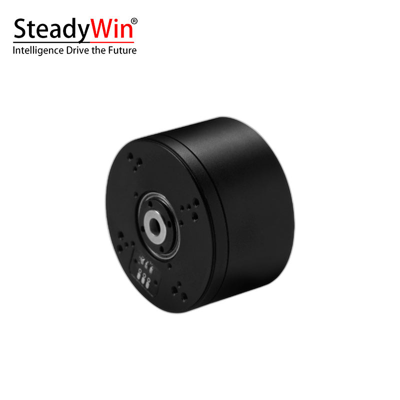 SteadyWin GB5225 Motor
