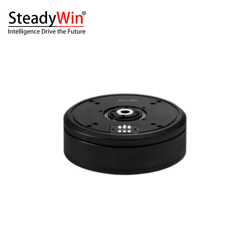 SteadyWin GB6010 Motor