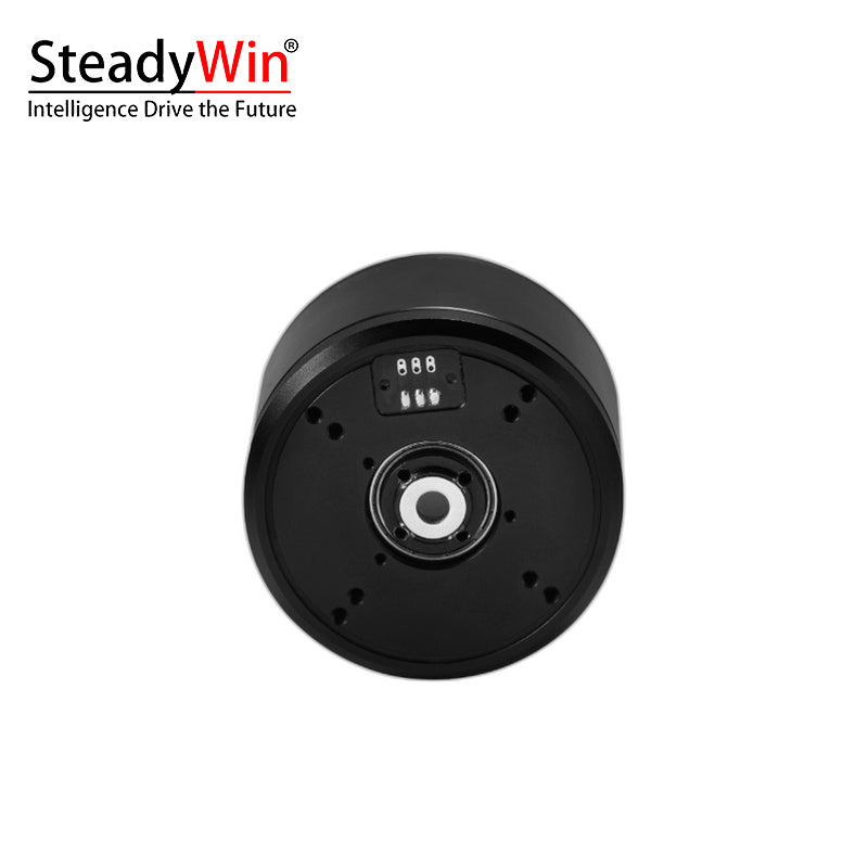 SteadyWin GB6025 Motor