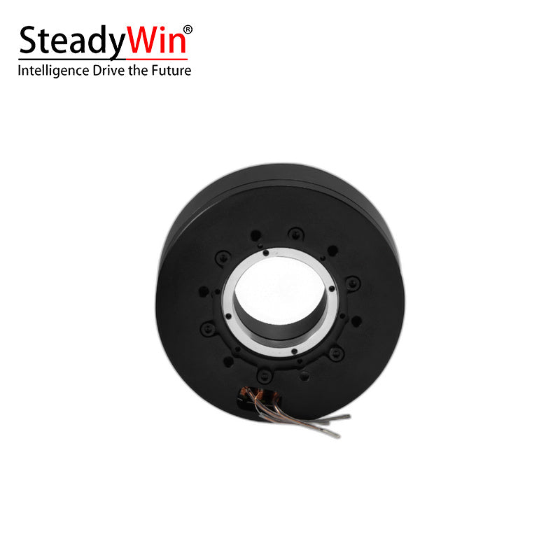 SteadyWin GB8115 Motor