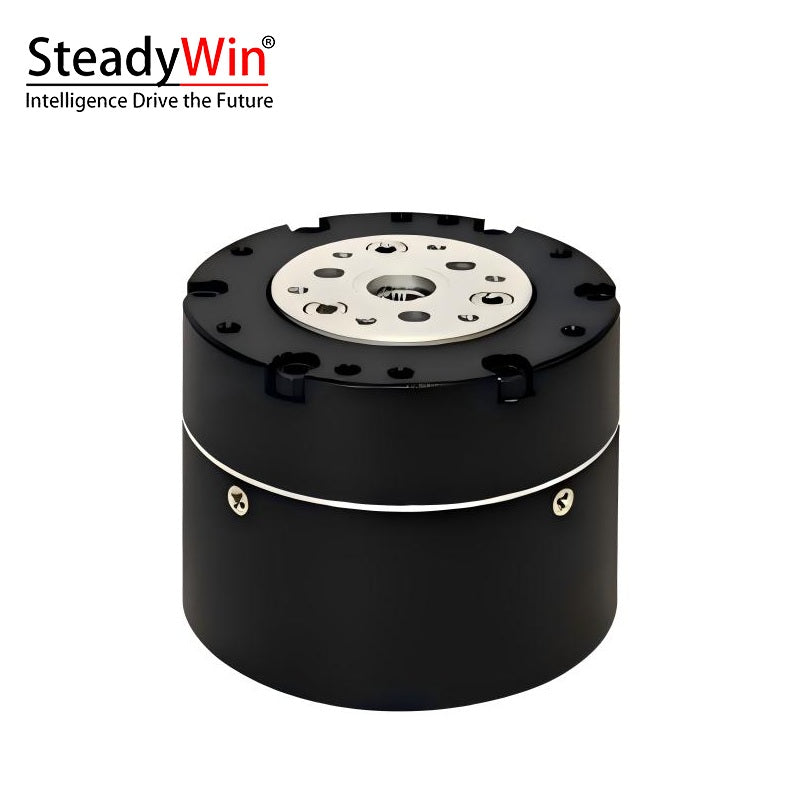 SteadyWin GIM4310-40 Planetary Reducer Motor