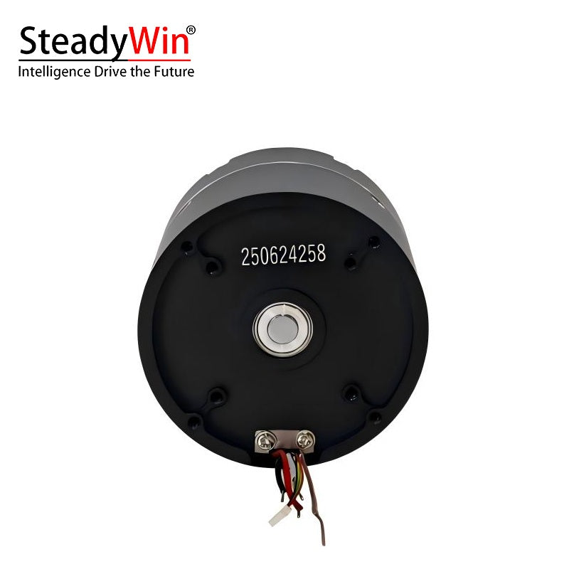 SteadyWin GIM4310-40 Planetary Reducer Motor