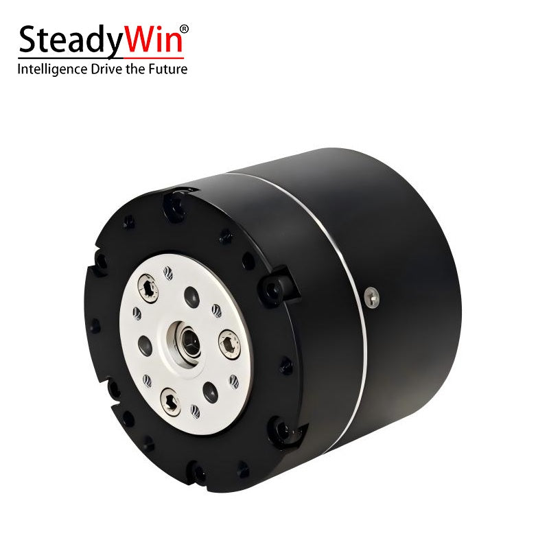 SteadyWin GIM4310-40 Planetary Reducer Motor