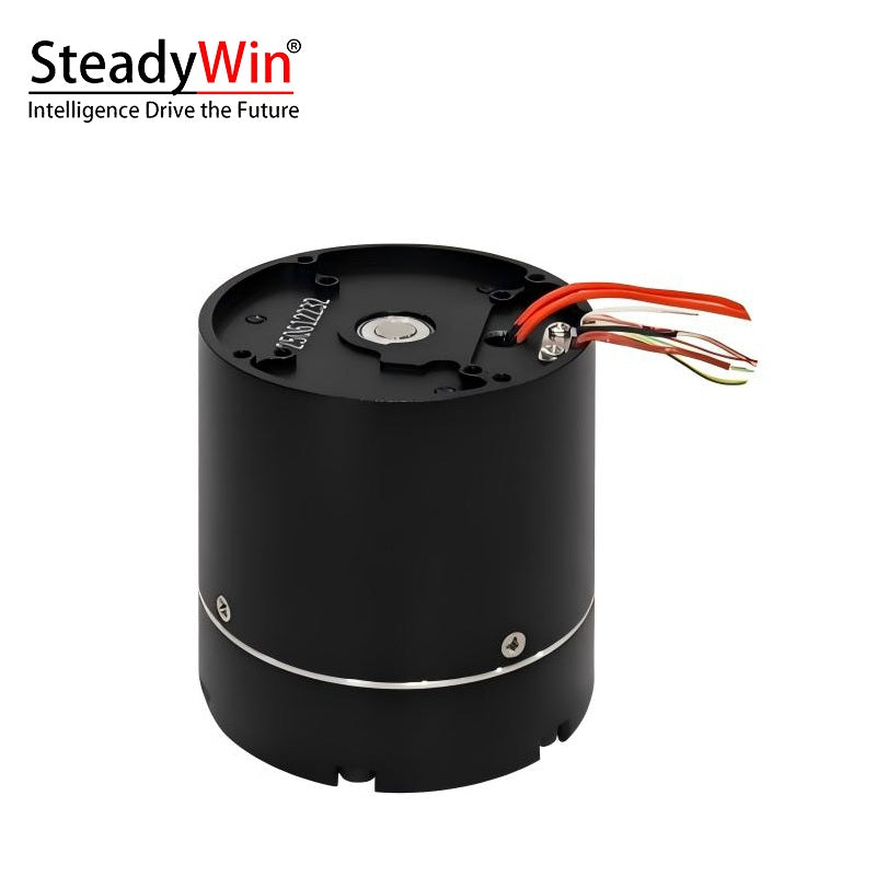 SteadyWin GIM4310-40 Planetary Reducer Motor
