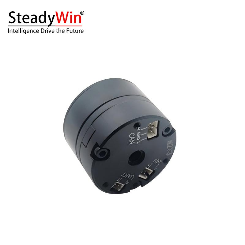 SteadyWin OT2206 Motor