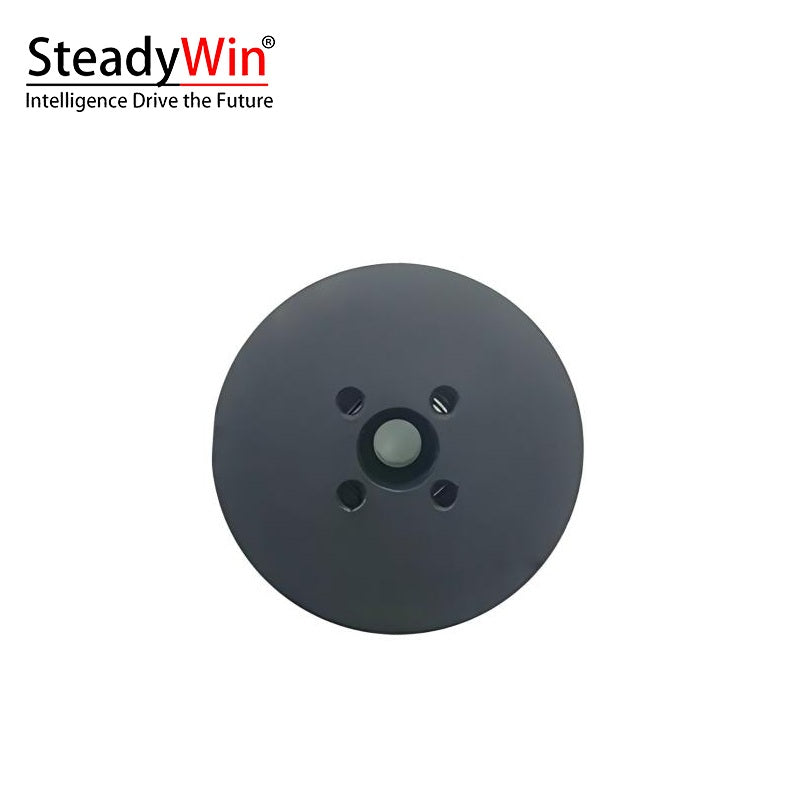SteadyWin OT2206 Motor