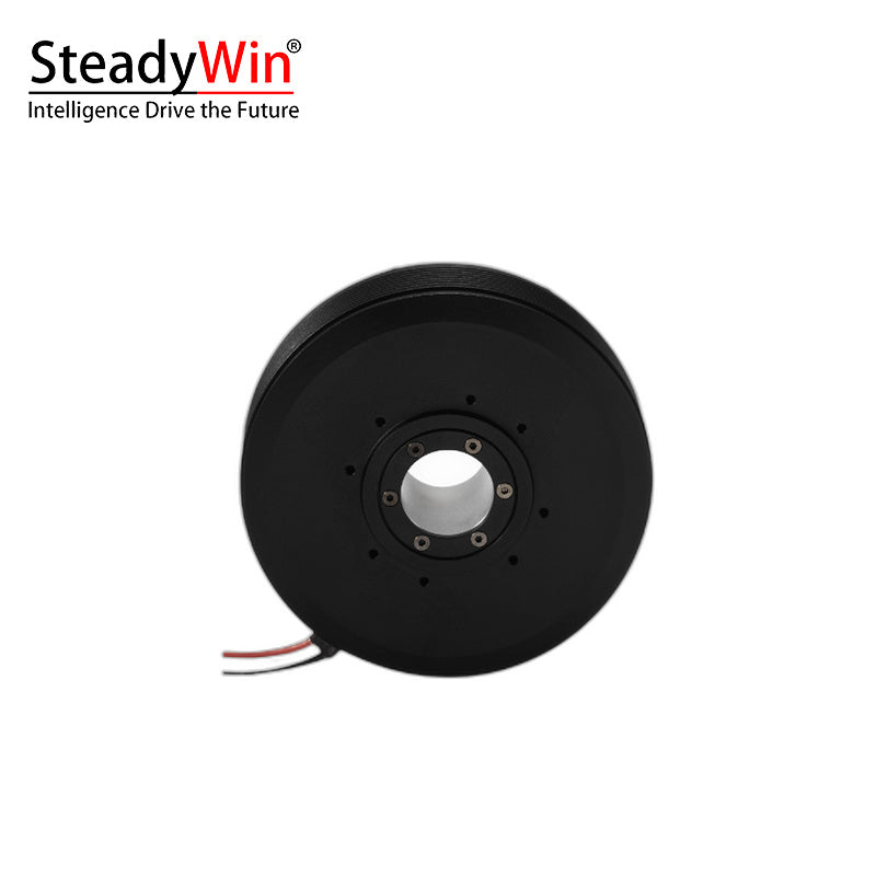 SteadyWin PM100 Motor