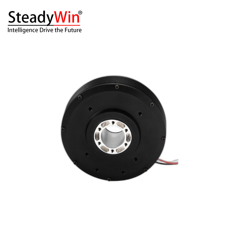 SteadyWin PM100 Motor