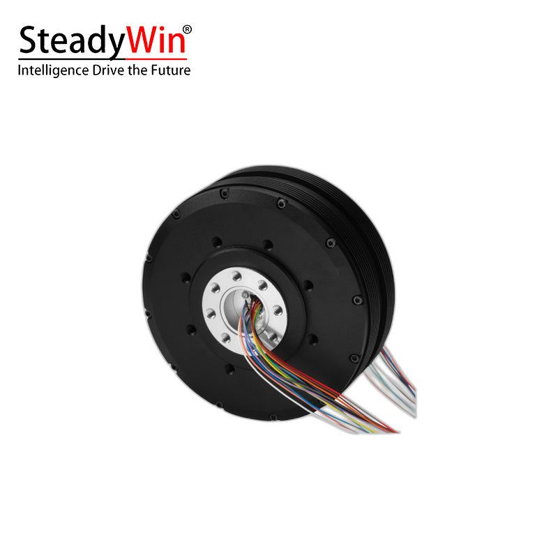SteadyWin PM120 Motor