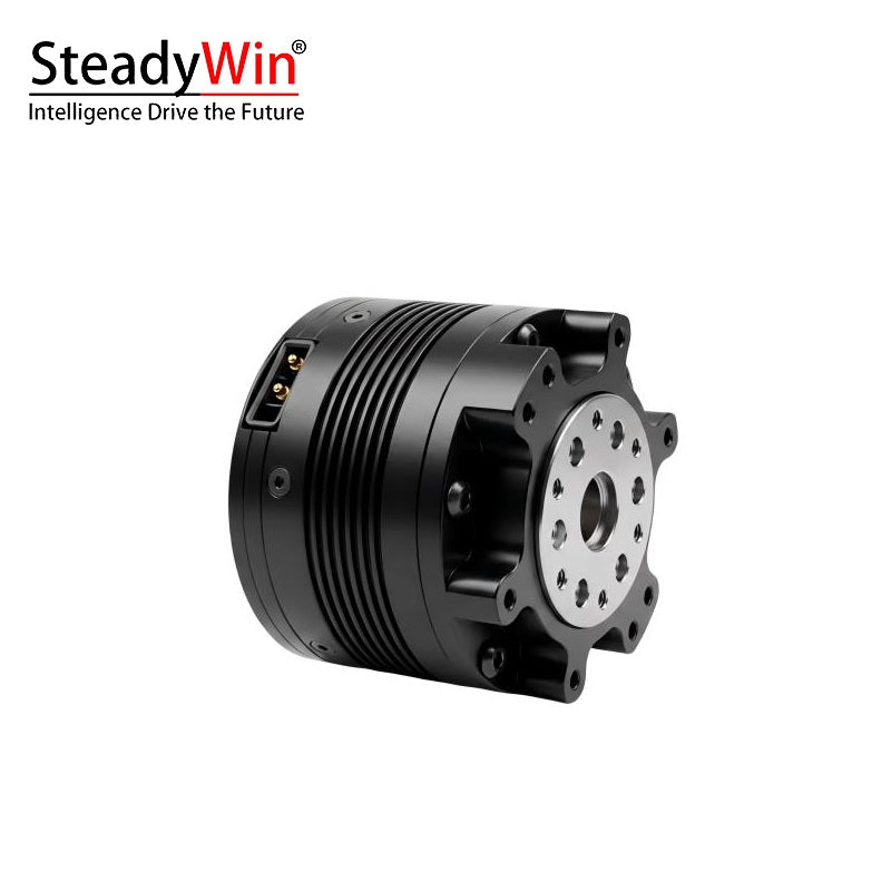 SteadyWin TT4510-10 Motor