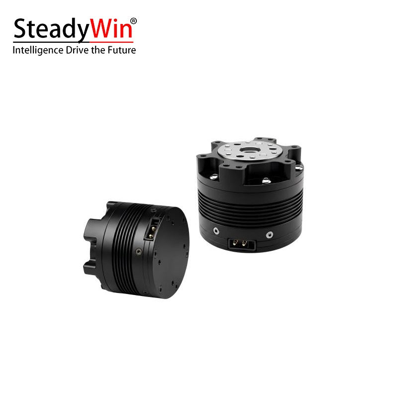 SteadyWin TT4510-10 Motor