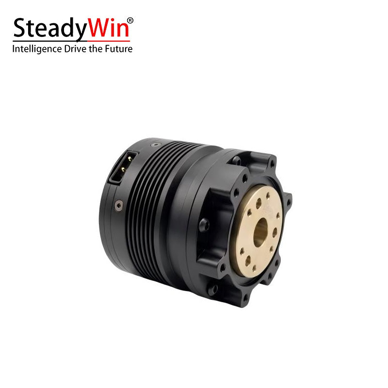 SteadyWin TT4510-36 Motor
