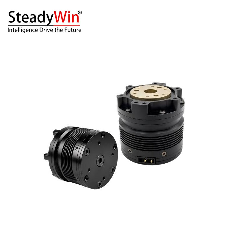 SteadyWin TT4510-36 Motor