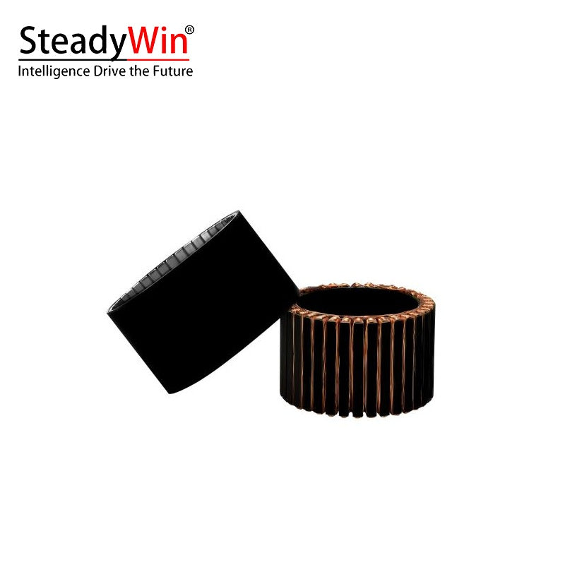 SteadyWin WK10060 Motor