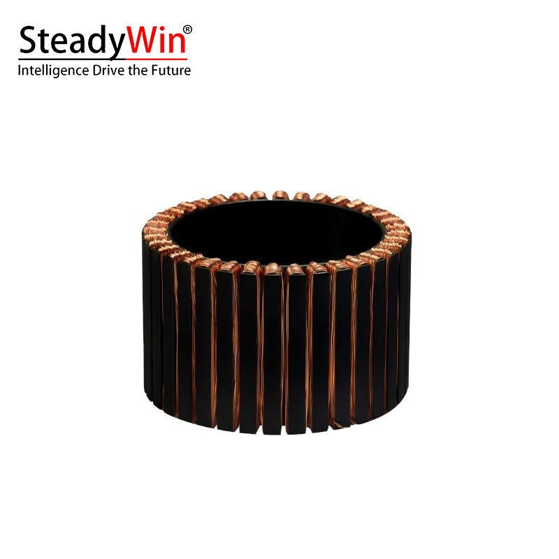 SteadyWin WK10060 Motor