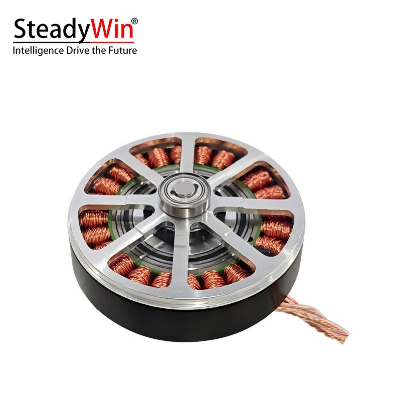 SteadyWin GWK6010-8 Motor