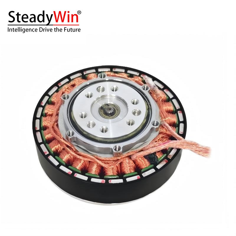 SteadyWin GWK6013-9 Motor