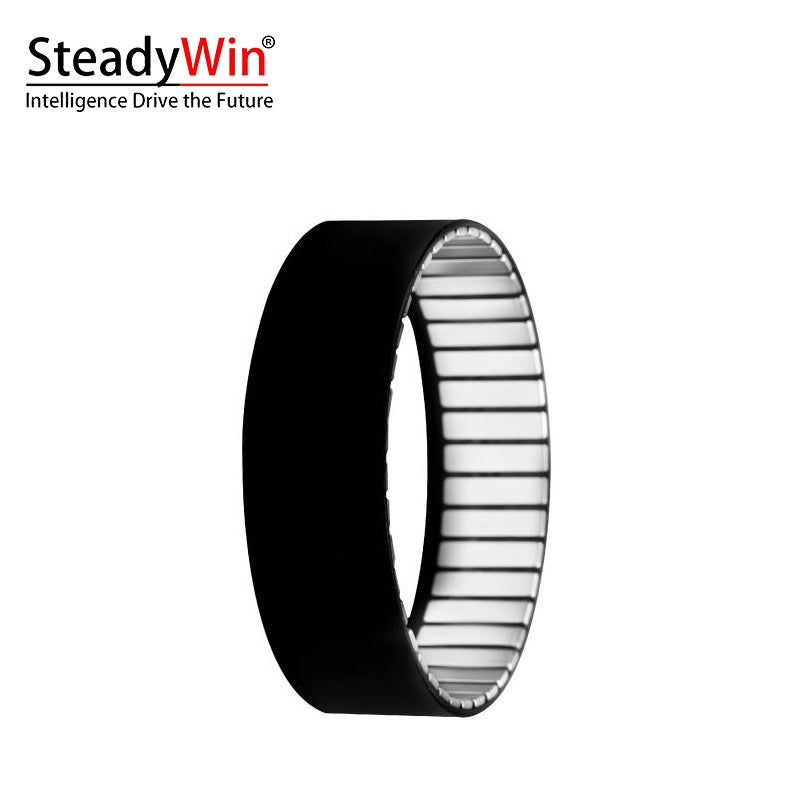 SteadyWin WK10025 Motor