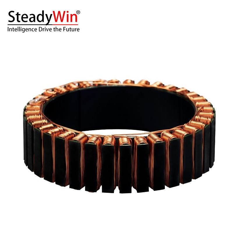 SteadyWin WK10025 Motor