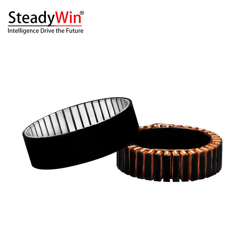 SteadyWin WK10025 Motor