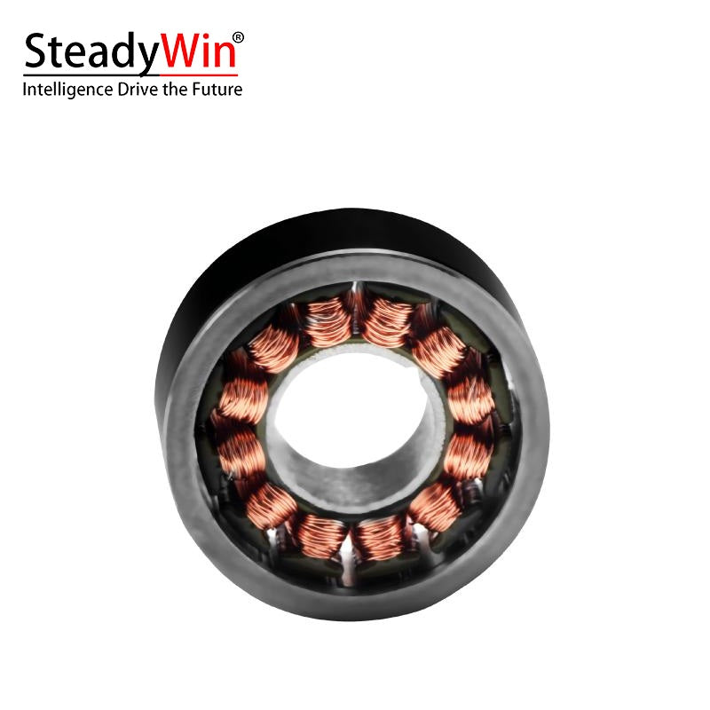 SteadyWin WK1806 Motor