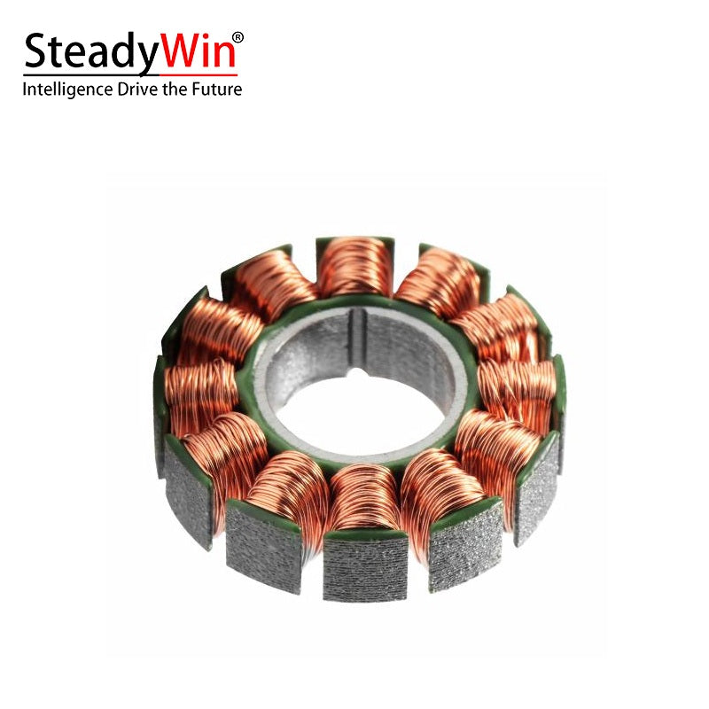 SteadyWin WK2205 Motor