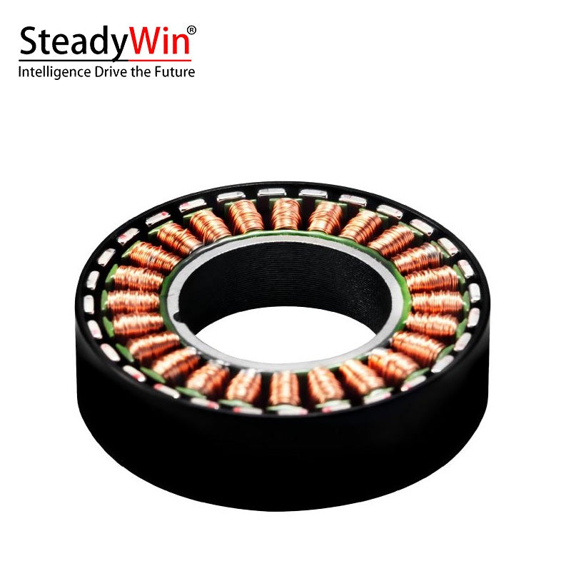 SteadyWin WK4310 Motor