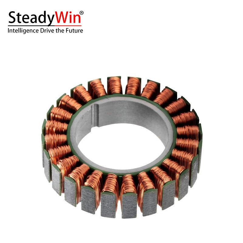 SteadyWin WK4310 Motor