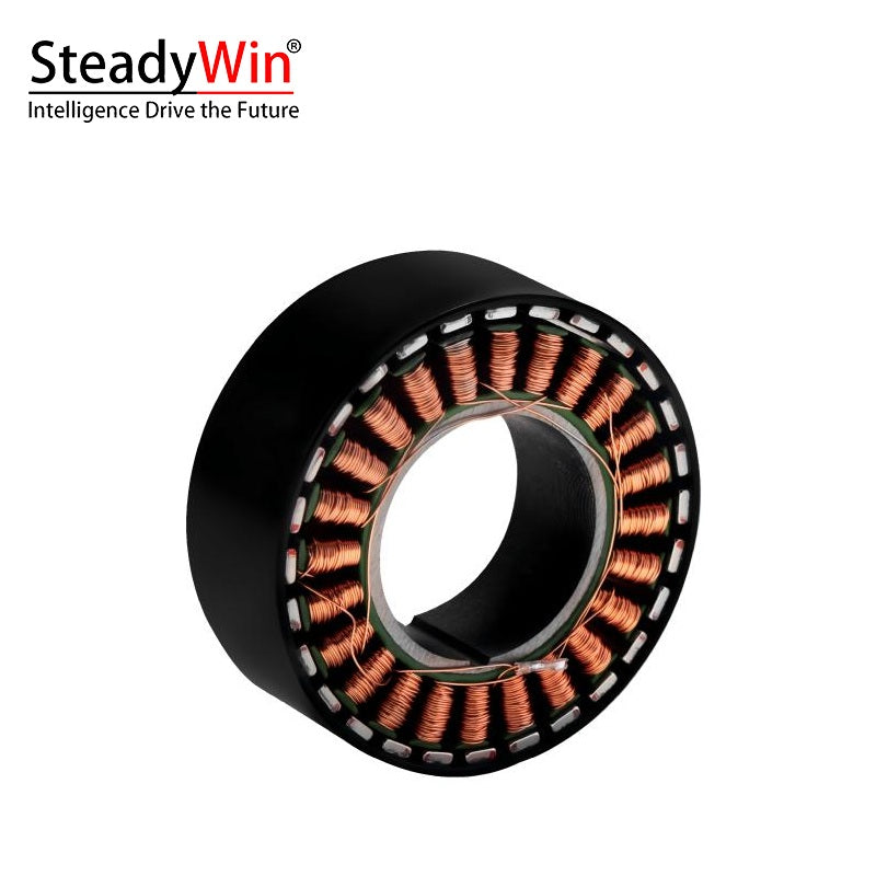 SteadyWin WK4315 Motor