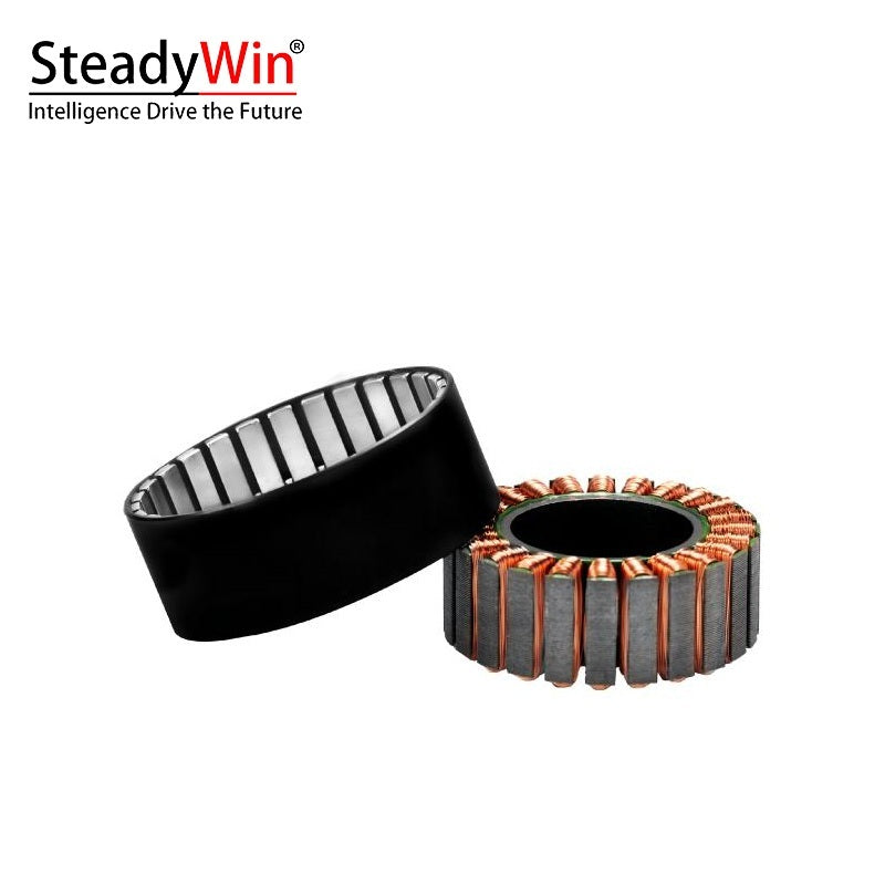 SteadyWin WK4315 Motor