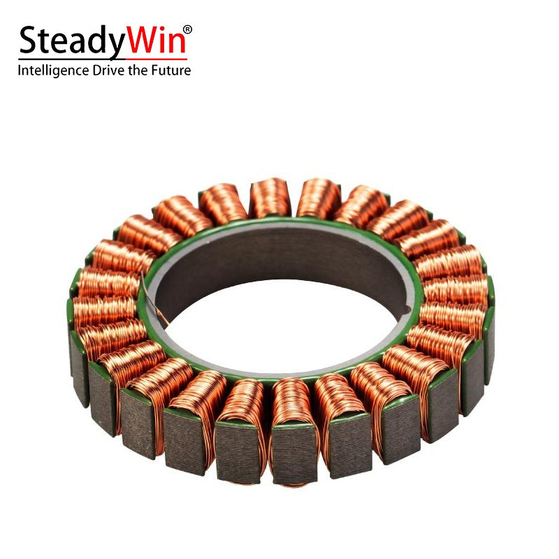 SteadyWin WK6010 Motor