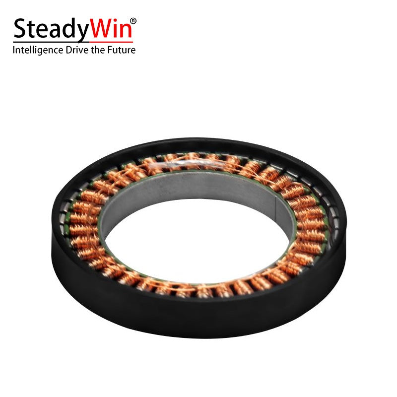 SteadyWin WK8110 Motor