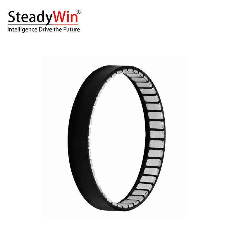 SteadyWin WK8110 Motor
