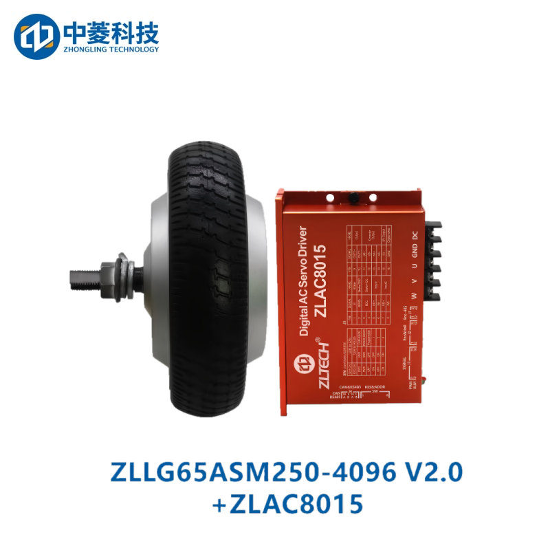 ZHONGLING ZLLG65-ASM250-4096 V2.0 Motor