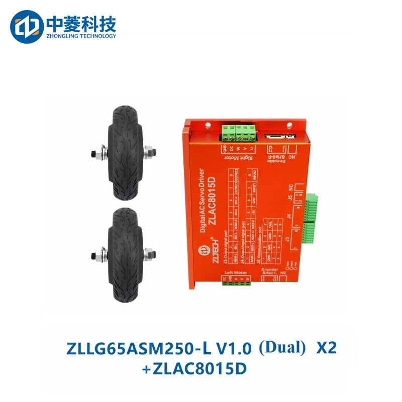 ZHONGLING ZLLG65-ASM250-L V1.0 Motor