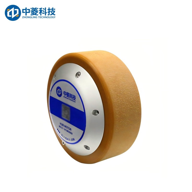 ZHONGLING ZLLG65-ASM500 V2.0 Motor