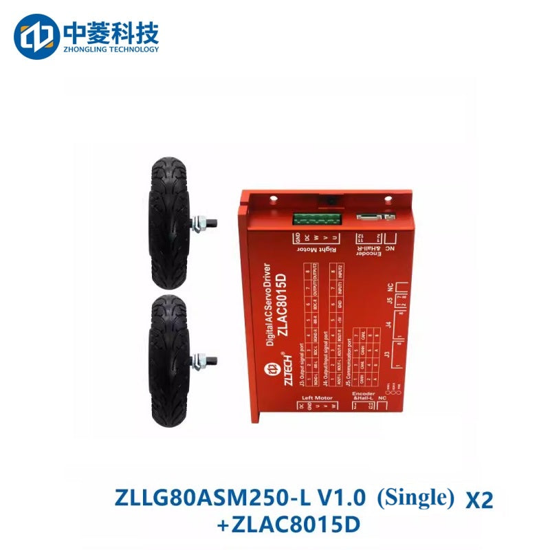ZHONGLING ZLLG80-ASM250-L V1.0 Motor