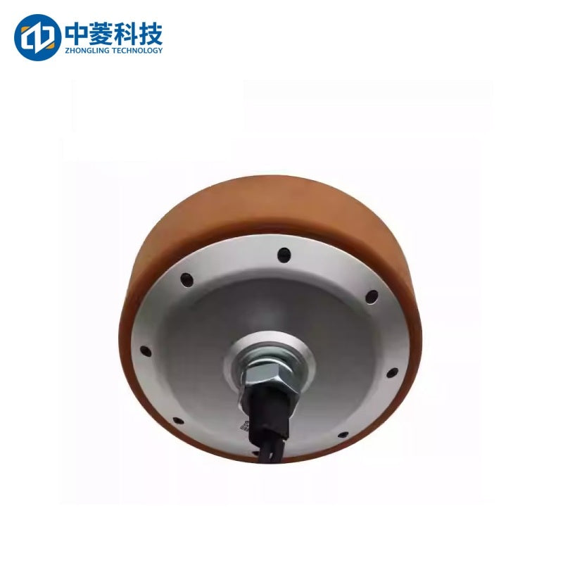 ZHONGLING ZLLG80-ASM800 Motor